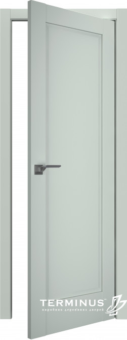 Двери модель 605 Оливин (глухая) 